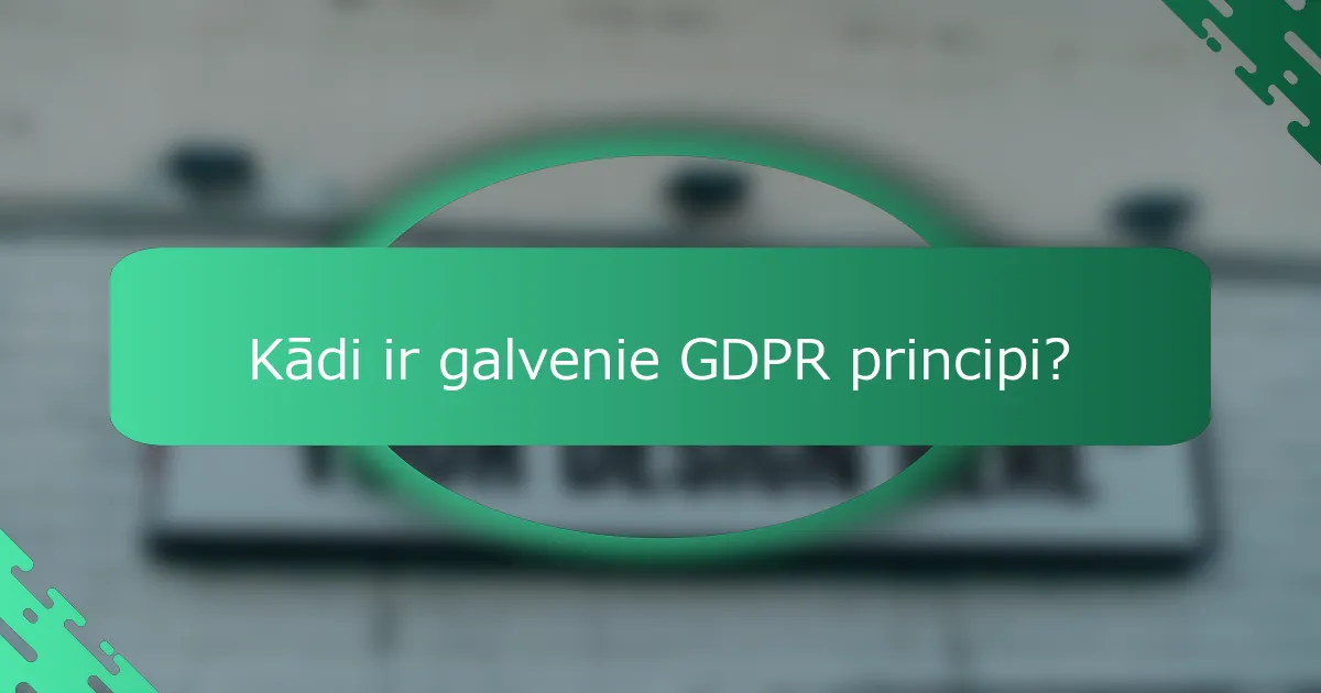 Kādi ir galvenie GDPR principi?